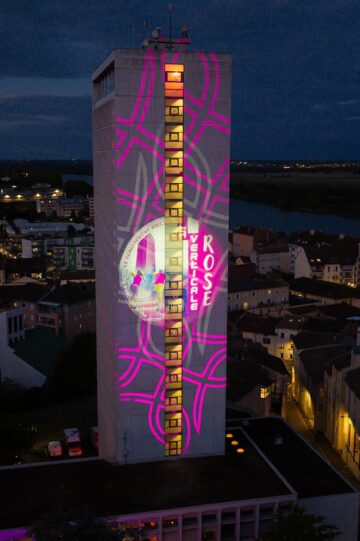 RETOUR PHOTOS Verticale Rose 2026