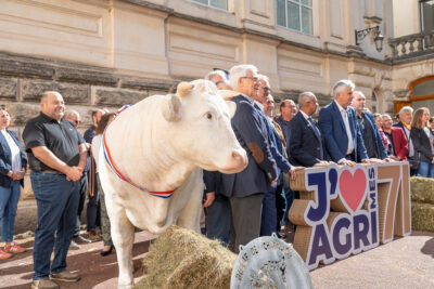 Agrandir l'image 4 sur 17, fenêtre modale