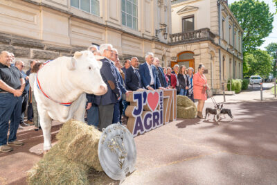 Agrandir l'image 3 sur 17, fenêtre modale
