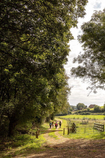 Sentier de randonnée à Azé