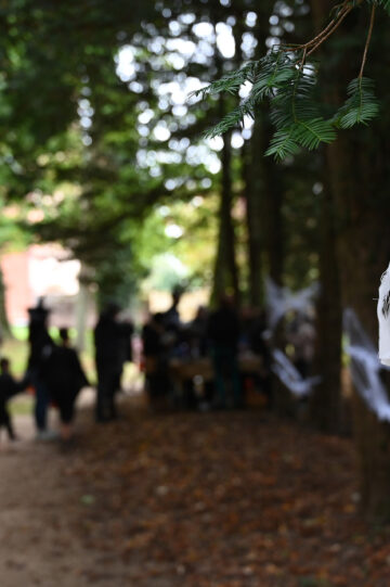 Des vacances d’automne riches en découvertes